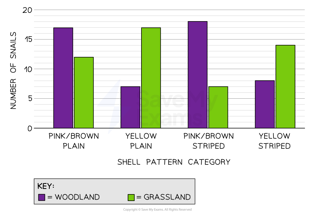 variation-in-snail-shells-bar-chart